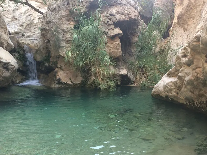 دره آکواریوم - تصویر 5