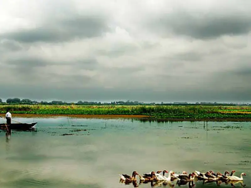تالاب لنگور - تصویر 4