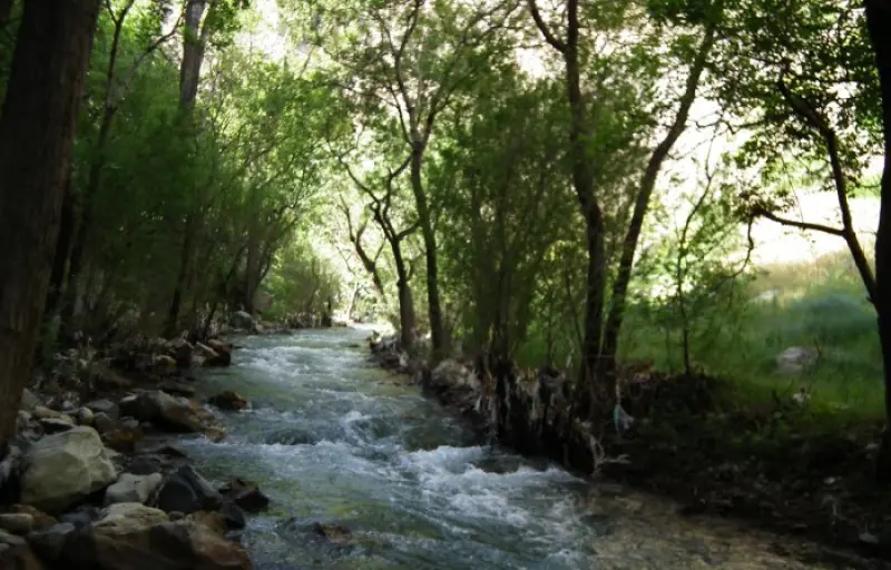 روستای ارنگه - تصویر 2