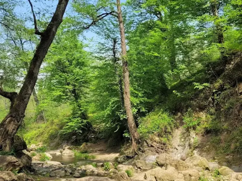 آبشار درازکش - تصویر 7