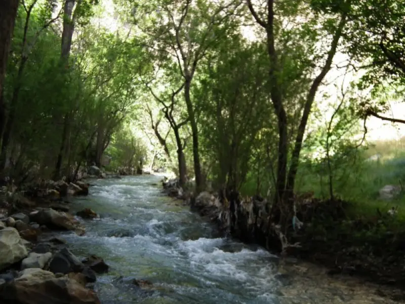 روستای ارنگه - تصویر 2