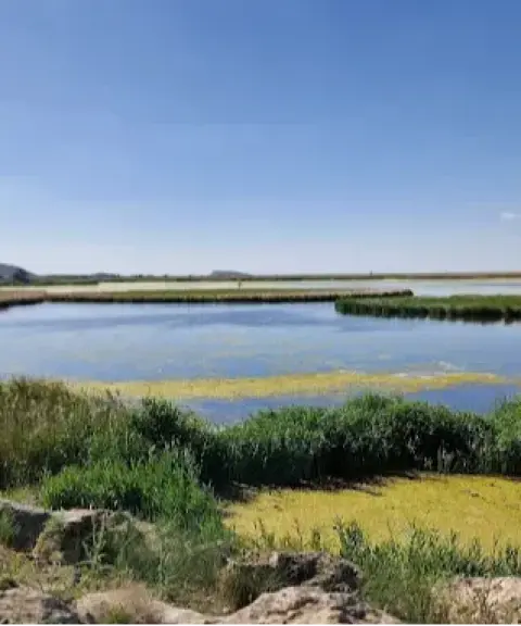 تالاب کانی برازان‎، آذربایجان غربی