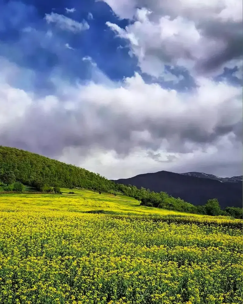 روستای مهدیرجه - تصویر 9