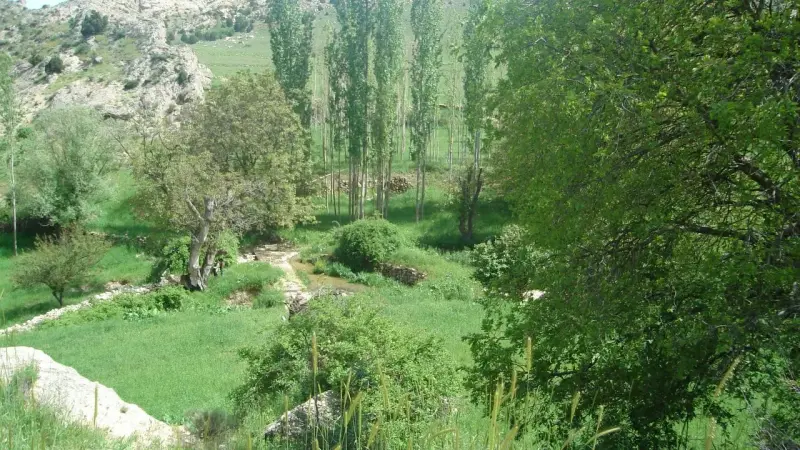 منطقه حفاظت‌شده قرخود - تصویر 6