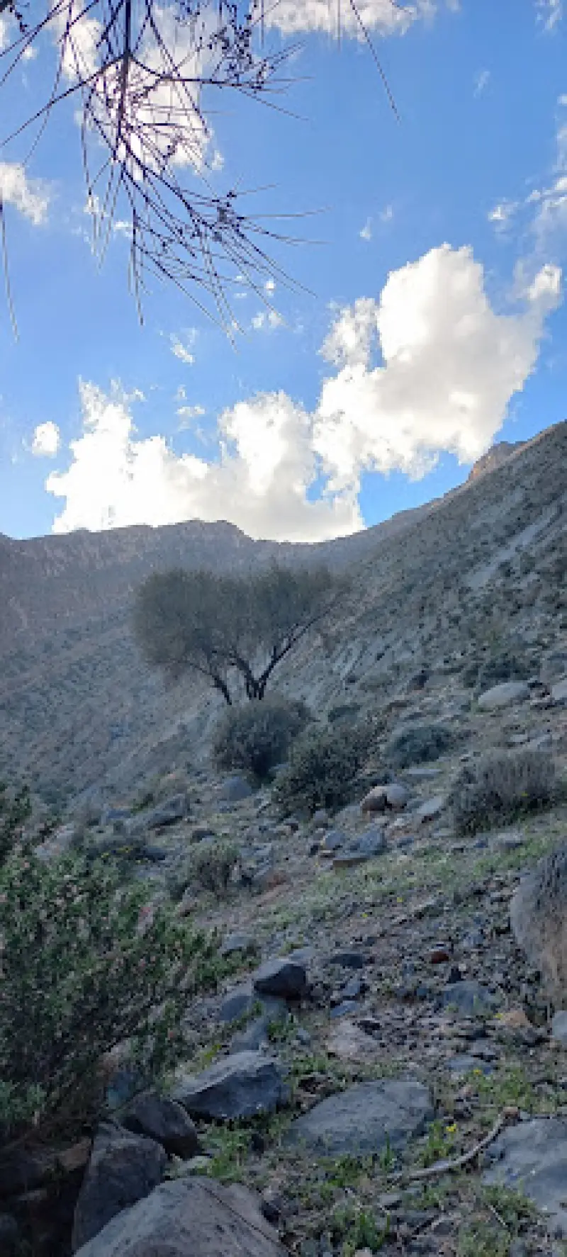 تنگ جزین - تصویر 2
