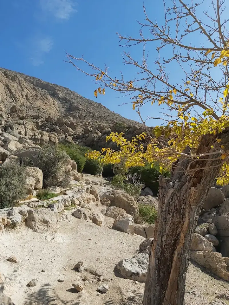 آبشار قلات - تصویر 5