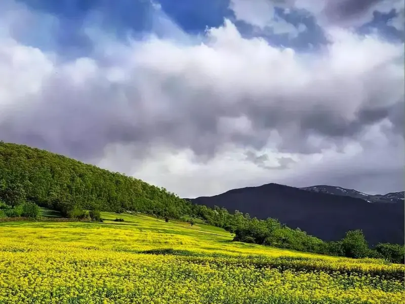 روستای مهدیرجه - تصویر 9