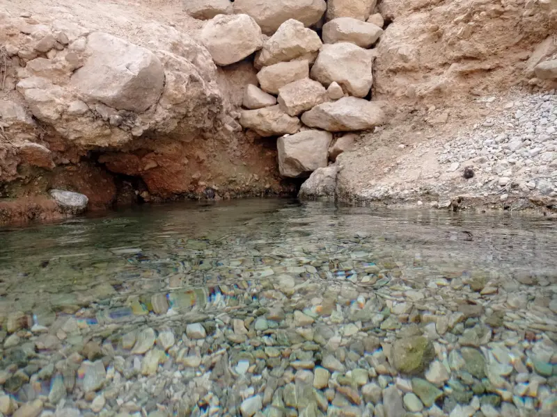 چشمه آب معدنی مهمانک - تصویر 2