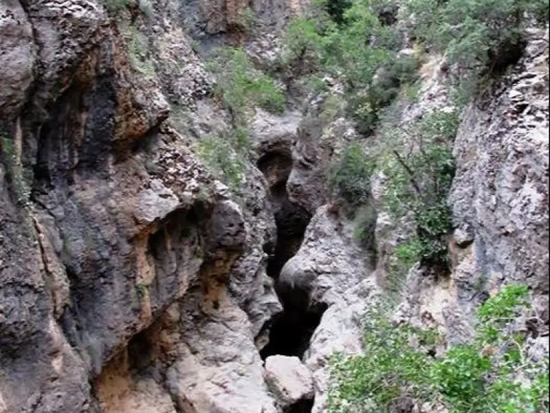 تنگ سجک