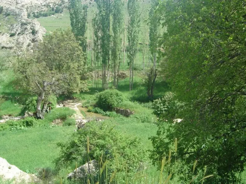 منطقه حفاظت‌شده قرخود - تصویر 6