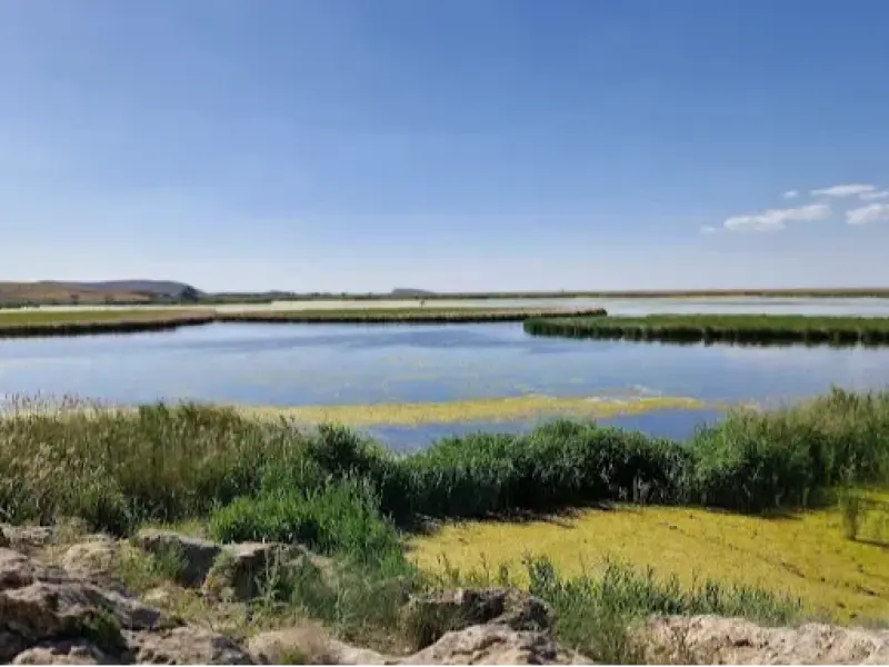 تالاب کانی برازان‎