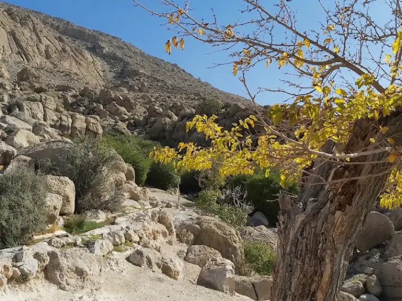 آبشار قلات - تصویر 5