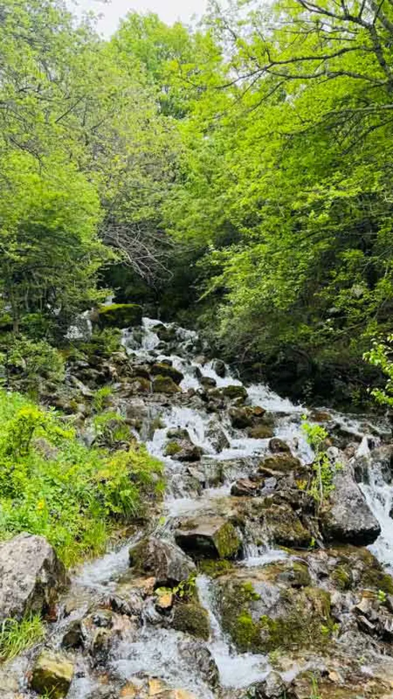 آبشار زانوس - تصویر 4