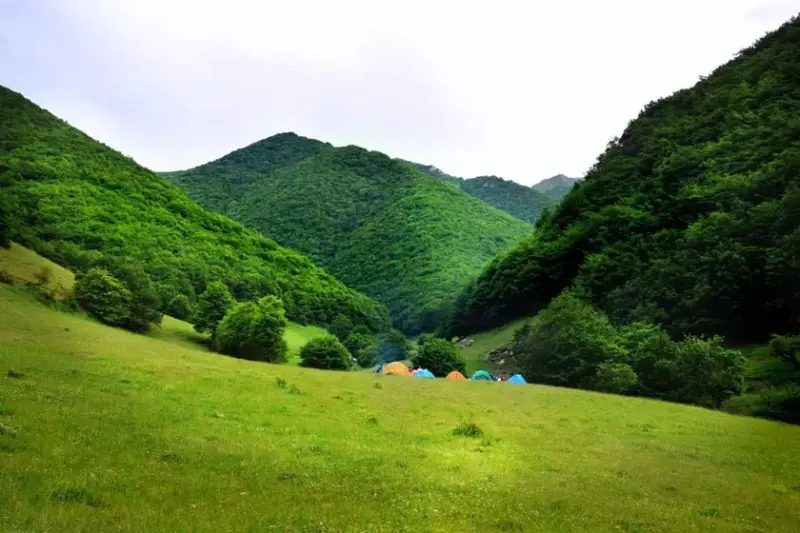 جنگل ارسباران - تصویر 2
