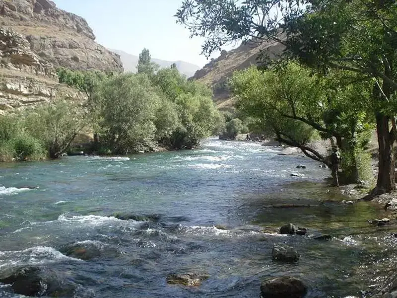 تنگ گنجه‌‌اى - تصویر 8