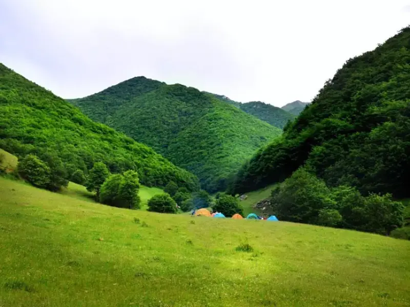 جنگل ارسباران - تصویر 2