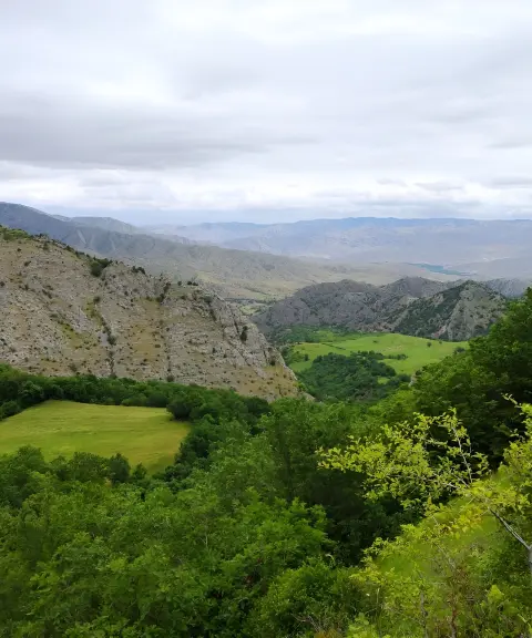 جنگل آنزا، آذربایجان شرقی