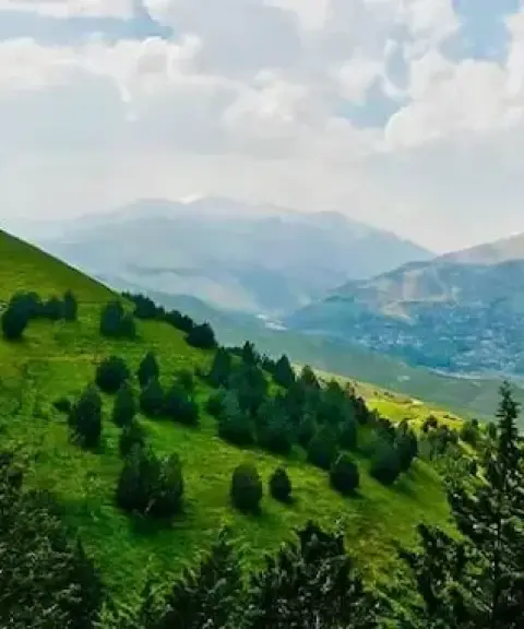 جنگل بونده، مازندران