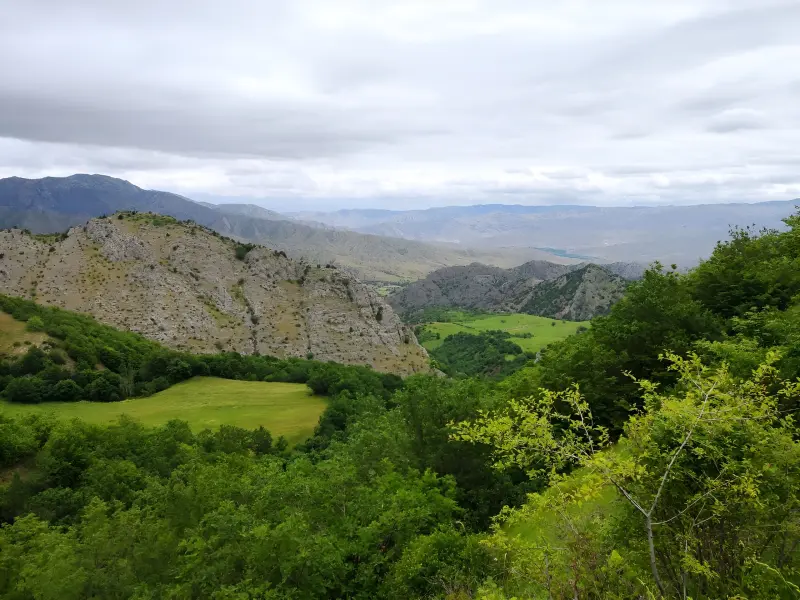 جنگل آنزا