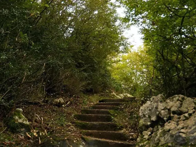 قلعه مارکوه - تصویر 18