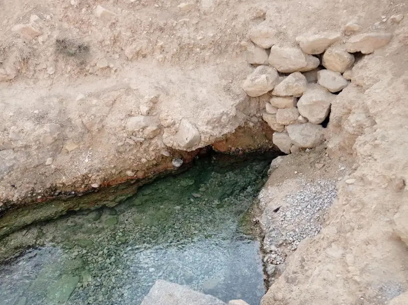 چشمه آب معدنی مهمانک - تصویر 3