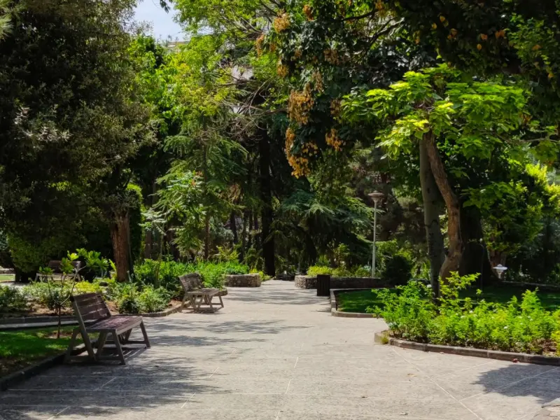 پارک ساعی - تصویر 13