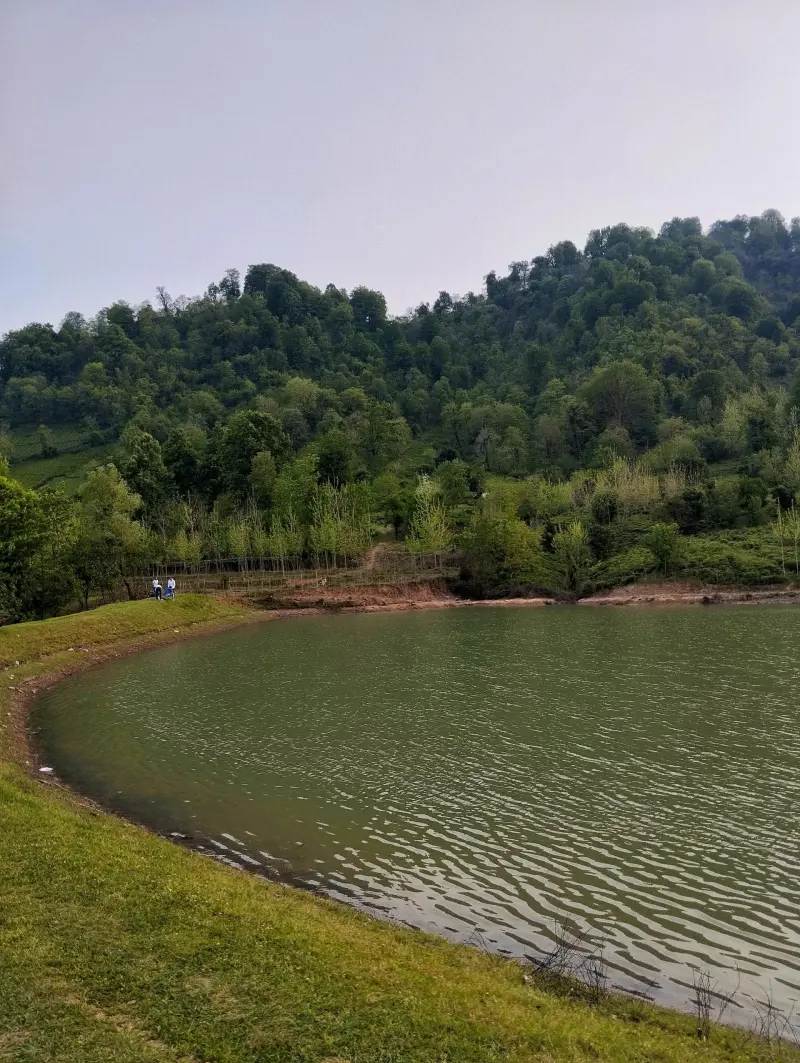 دریاچه ملسکام فومن - تصویر 2