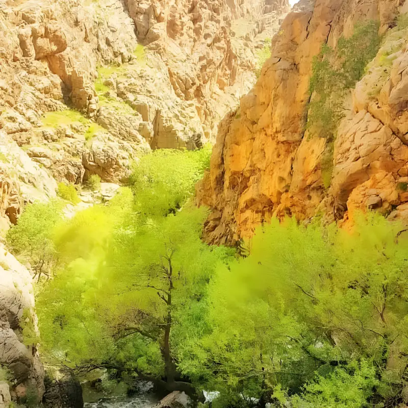 آبشار حشوید - تصویر 7
