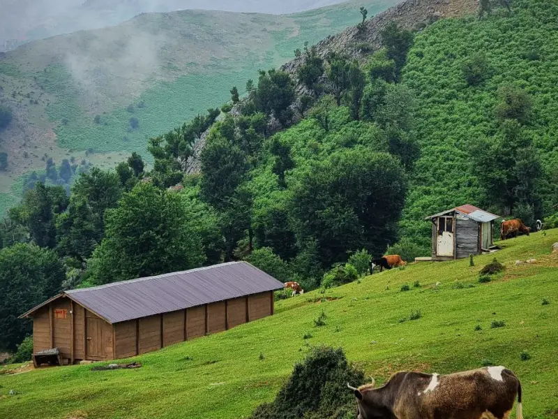 ییلاقات شاندرمن - تصویر 5