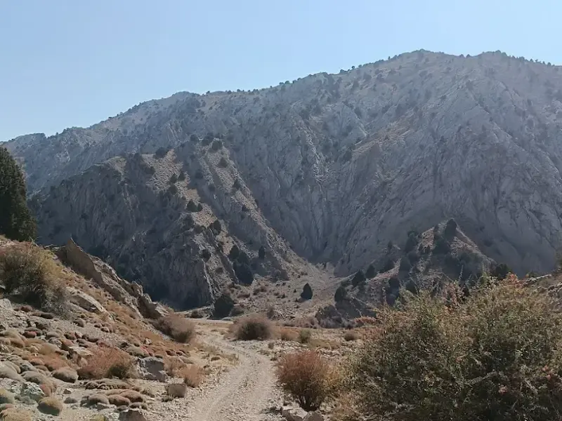 منطقه حفاظت‌ شده ارس سیستان
