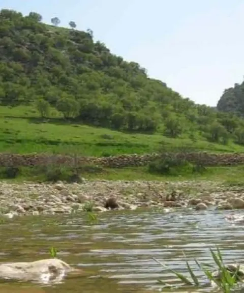 تنگ زنجیره، ایلام