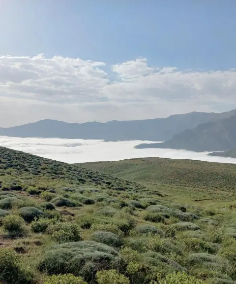 منطقه شکار ممنوع چلچلی، گلستان
