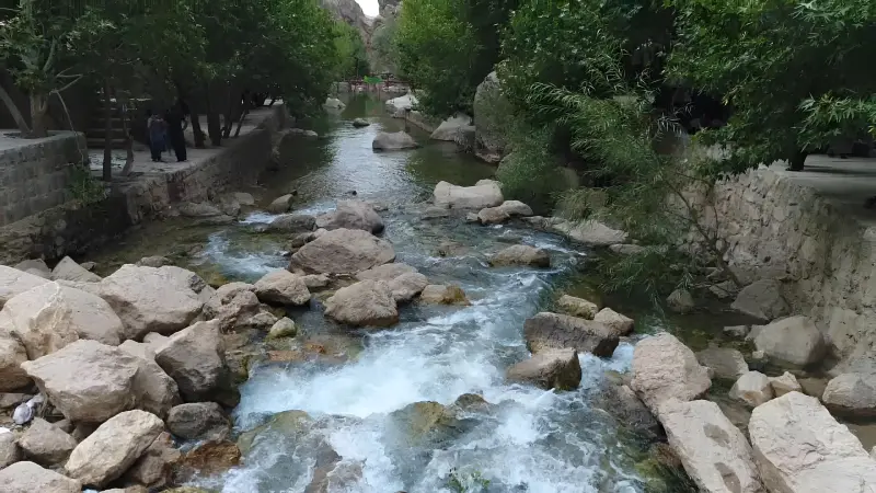 چشمه ناز ونک - تصویر 4