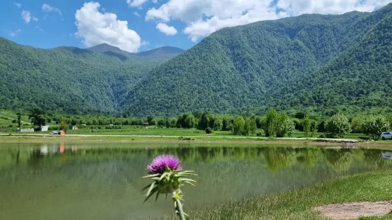 روستای شفیع آباد - تصویر 2
