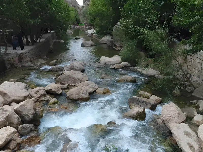 چشمه ناز ونک - تصویر 4