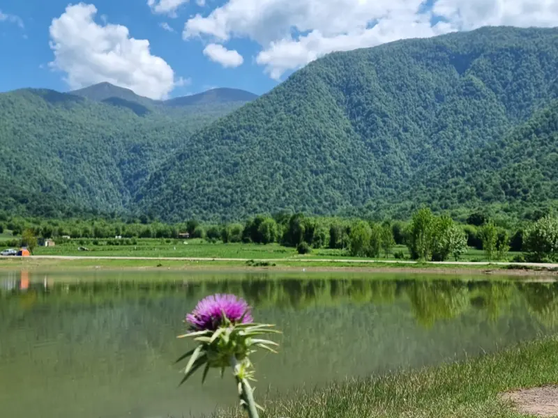 روستای شفیع آباد - تصویر 2