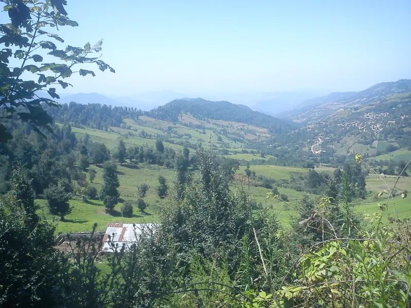 روستای چورت