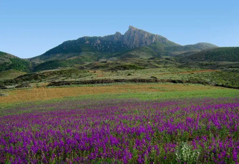 روستای بالاده - تصویر 1