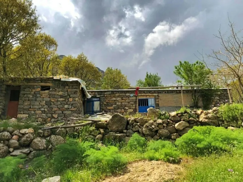 روستای دل - تصویر 2