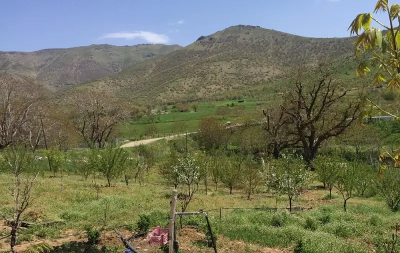 روستای نجنه‌علیا - تصویر 1