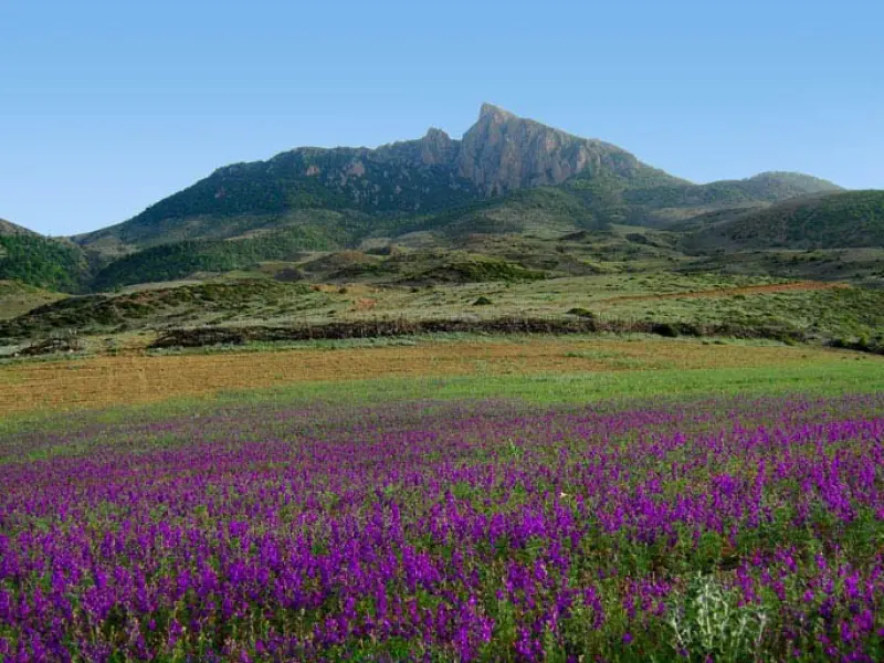 روستای بالاده - تصویر 1