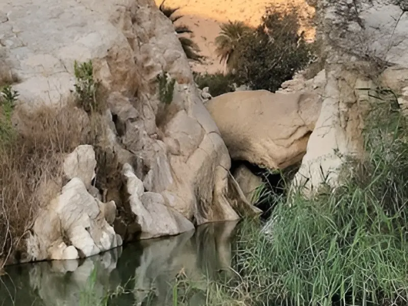 چشمه مطریه - تصویر 1