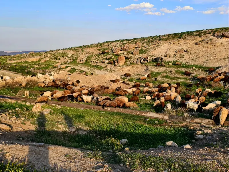 روستای بزنگان - تصویر 3