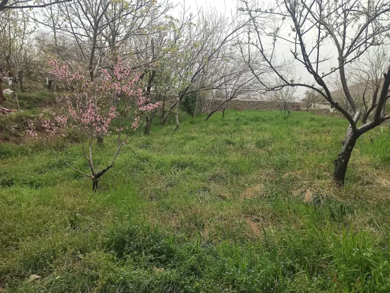 روستای شلمزار - تصویر 5