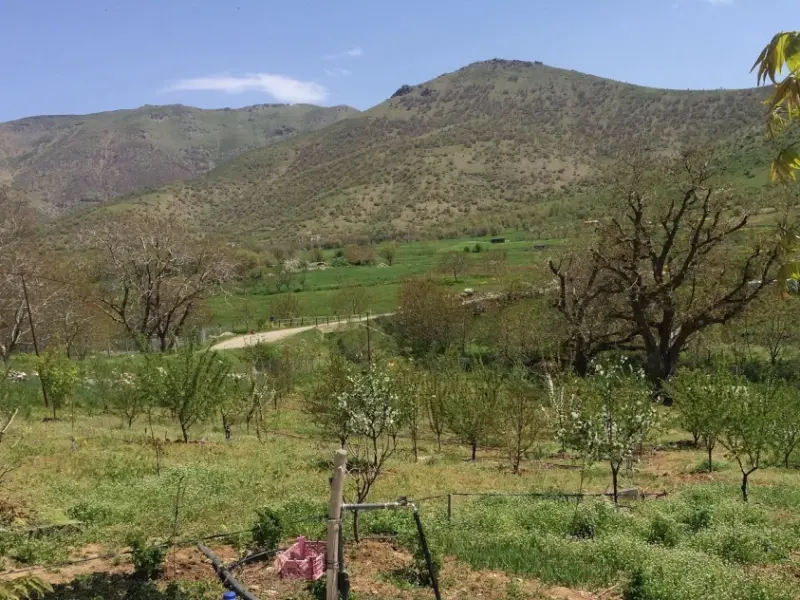 روستای نجنه‌علیا - تصویر 1