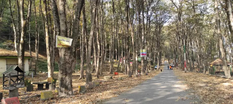 پارک جنگلی میرزا کوچک خان - تصویر 2