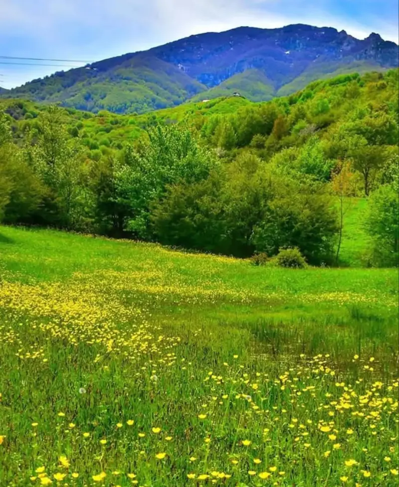 روستای داماش - تصویر 5