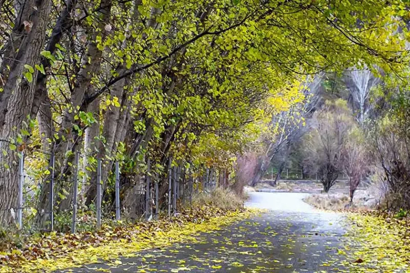 پارک جنگلی خیاوچای - تصویر 3
