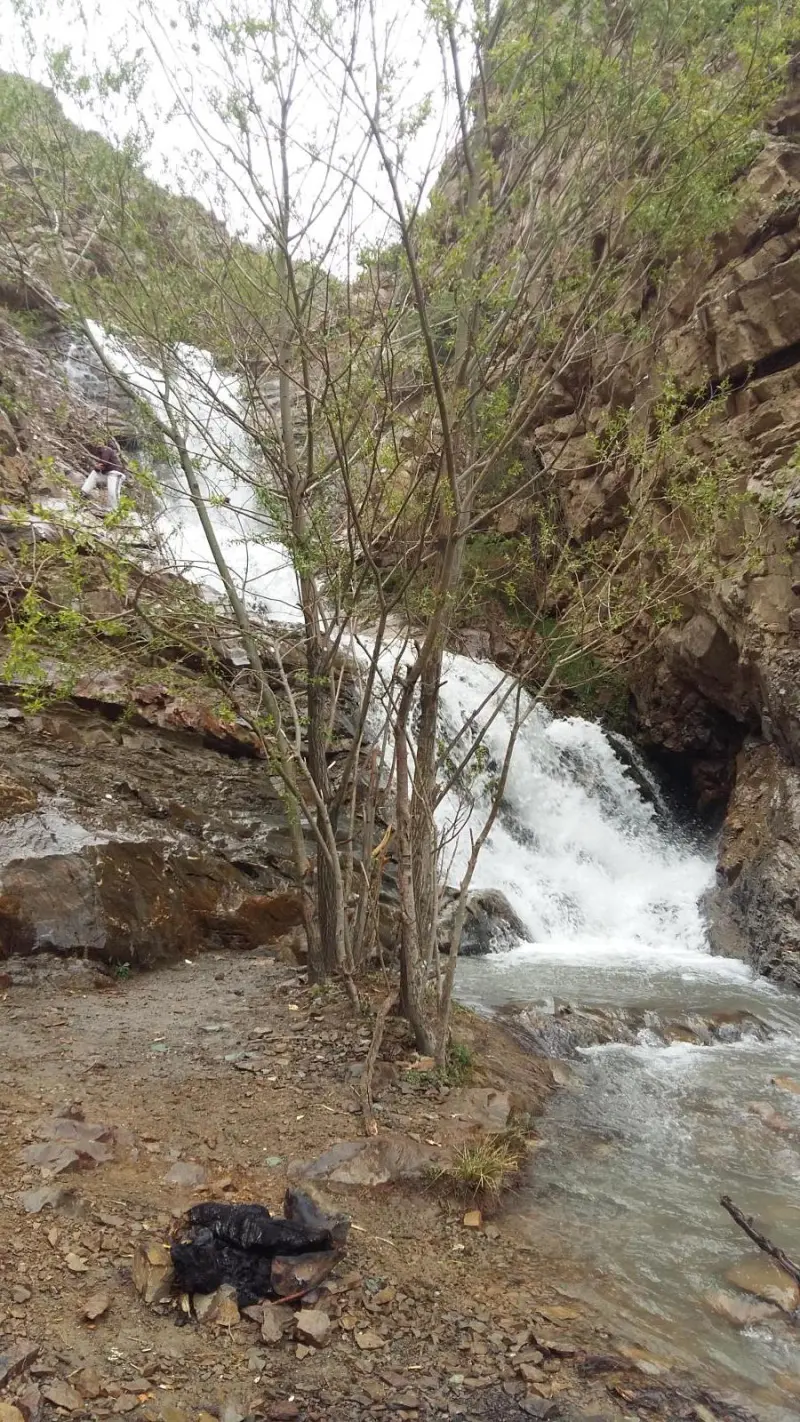 آبشار برگ جهان - تصویر 7