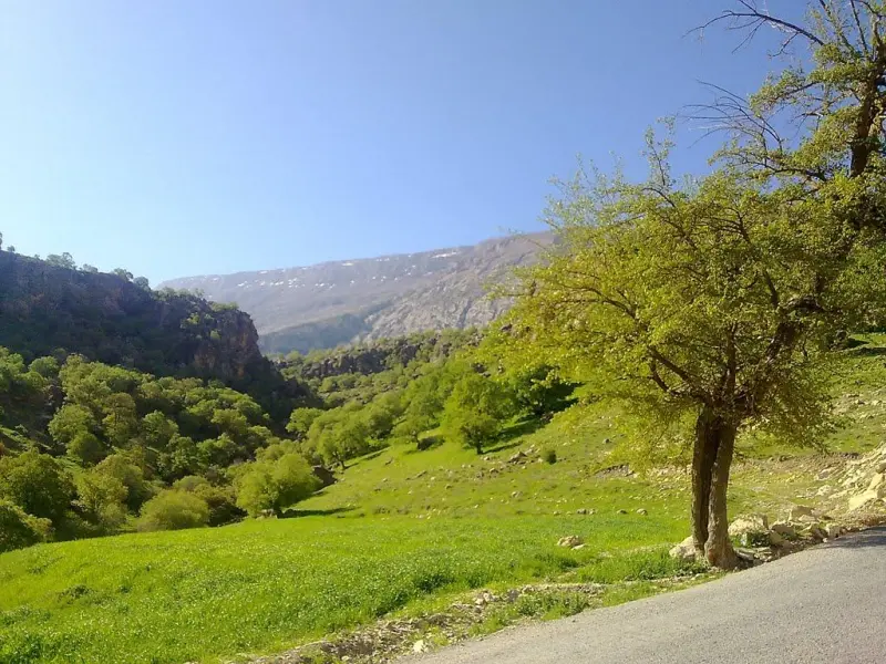 تنگه لارت - تصویر 5